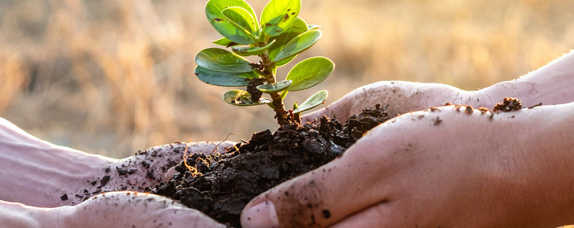 Comments by CPR-ICEE on the Union Budget 2023-24