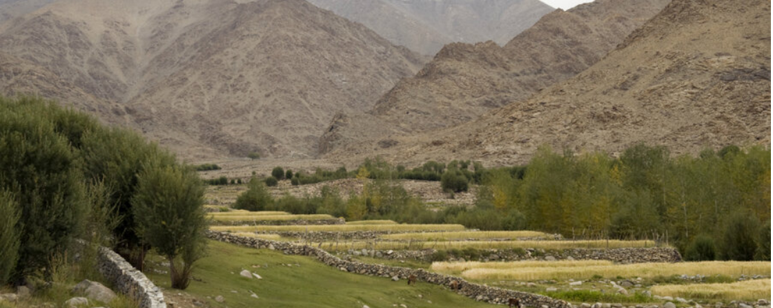 We just gotta do meta! Notes on disciplinary anxieties in Geography in India